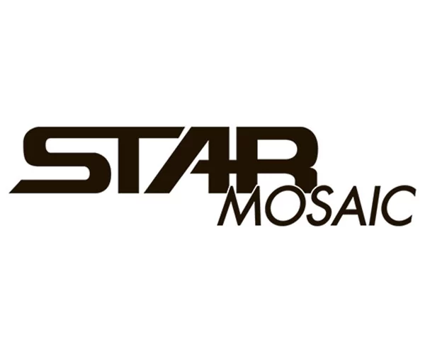 Starmosaic  керамическая мозаика